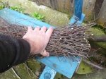 bunch of twigs, gathered into a bundle